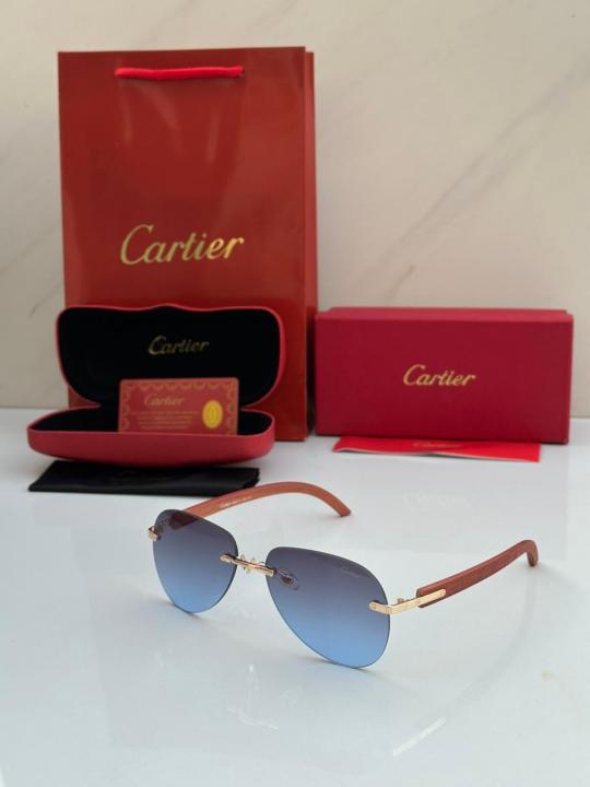 CARTIER SUNGLASS D-246
