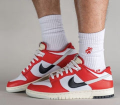Nike SB dunk Chicago split