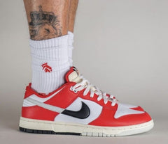 Nike SB dunk Chicago split