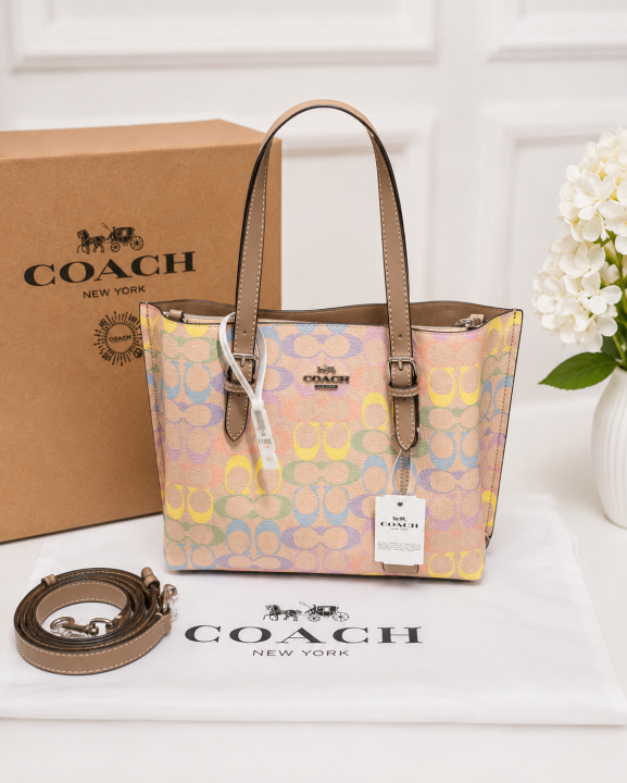 Coach Mollie 66105 Multi Color SmallTote With OG Box & Dust Cover 66105 Rainbow