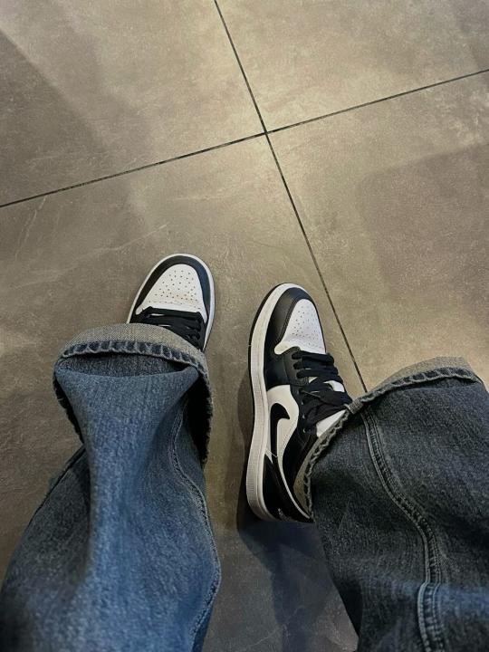Nike Air Jordan 1 low Panda