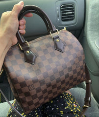 Louis Vuitton LV Speedy Damier Bag