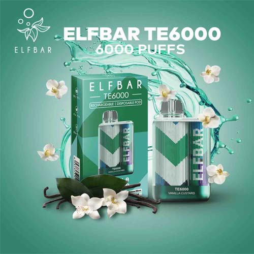 ELF BAR TE6000 – VANILLA CUSTARD Vape