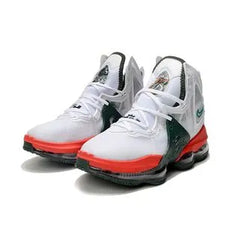 NIKE LEBRON 19 EP ‰Û÷FAMU EXCLUSIVES‰۪