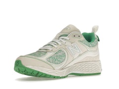 NEW BALANCE 2002R GANNI TURTLEDOVE