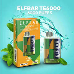 ELF BAR TE6000 – Cool Mint Vape