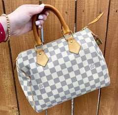Louis Vuitton Speedy 30 With Dust Cover