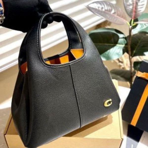 Coach lana hand bag premium quality with box