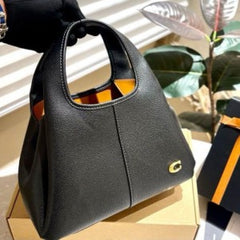 Coach lana hand bag premium quality with box