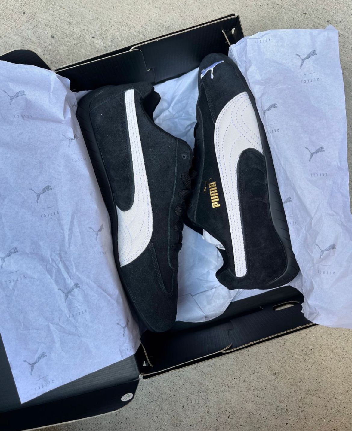 puma speedcat black