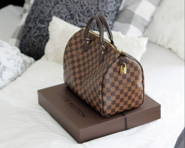 Louis Vuitton LV Speedy Damier Bag