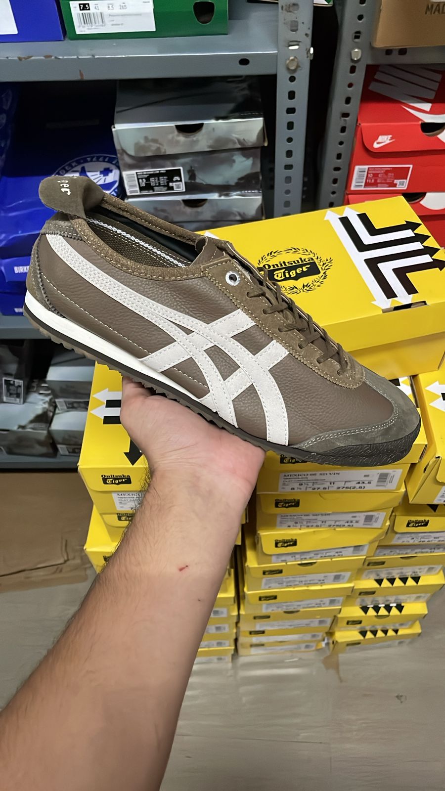 Onitsuka Tiger Mexico 66 SD VIN sneaker in a brown clay canyon