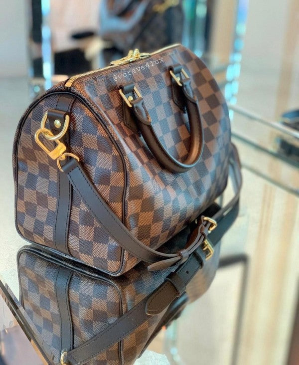 Louis Vuitton LV Speedy Damier Bag