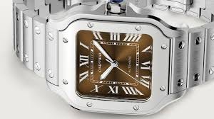 CARTIER D SANTOS SILVER BROWN