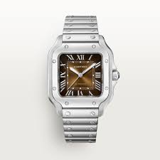 CARTIER D SANTOS SILVER BROWN