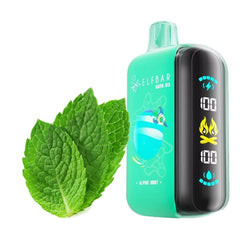 ELFBAAR RAYA D3 25000 PUFF Alpine Mint